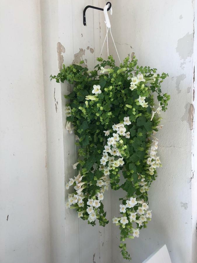 Humbla Hotelli Sölvesborg